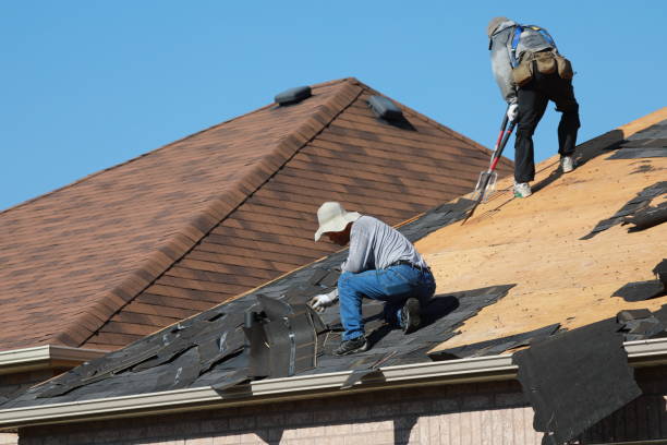 Best Roof Moss and Algae Removal  in Clinton, NC