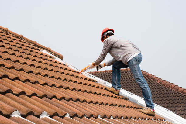 Reliable Clinton, NC Roofing services Solutions